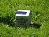 image of grave number 856325